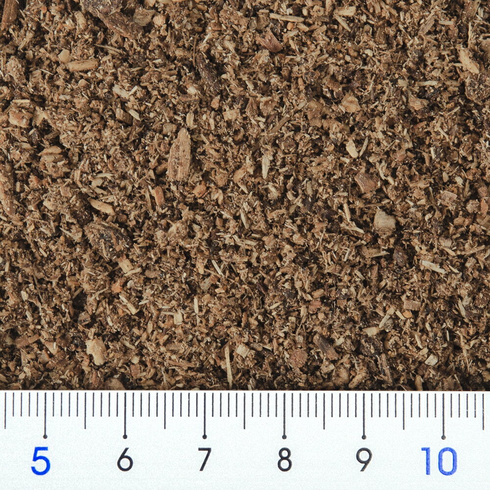 ����ޥåȡ�B1�����֥ȥॷ���塞���Ѵ��ϵ��ڥޥåȡ�10L�������ѡ����֥ȥॷ�����塞�����������8���¤ꡡ����������