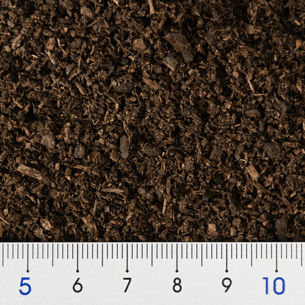 ����ޥåȡ�B8�������ѡ��إ饯�쥹�ޥåȡ�����ȯ�ڡ�10L���⥫���꡼��ź�úѤߡ����֥ȥॷ�������ѡ��������8���¤ꡡ����������