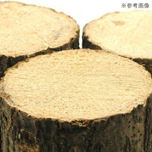 ���ʥ黺���ڡ����ܡ��ɺࡡ1�ܡ�����������