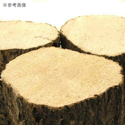 ���ʥ黺���ڡ����ܡ��ɺࡡ1�ܡ�����������