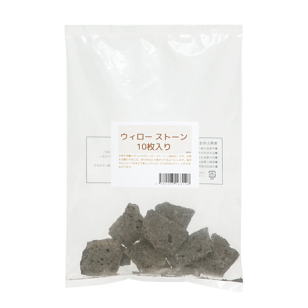 �������������ȡ���10�硡����������