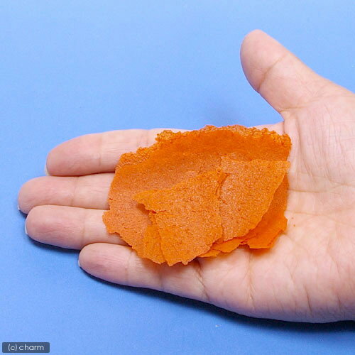 ���������˥塼�ȥꥷ��󡡥ե����ߥ��1���ե졼����������δ��ܿ���34g����������¡�����������