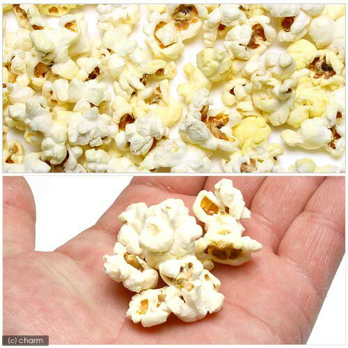 �ޥ륫�󡡥�ɥ���ݥåץ����󡡥ѥ��ʥåץ���̣��12g��������ɥ��ꡡ�ա��ɡ��������¡�����������