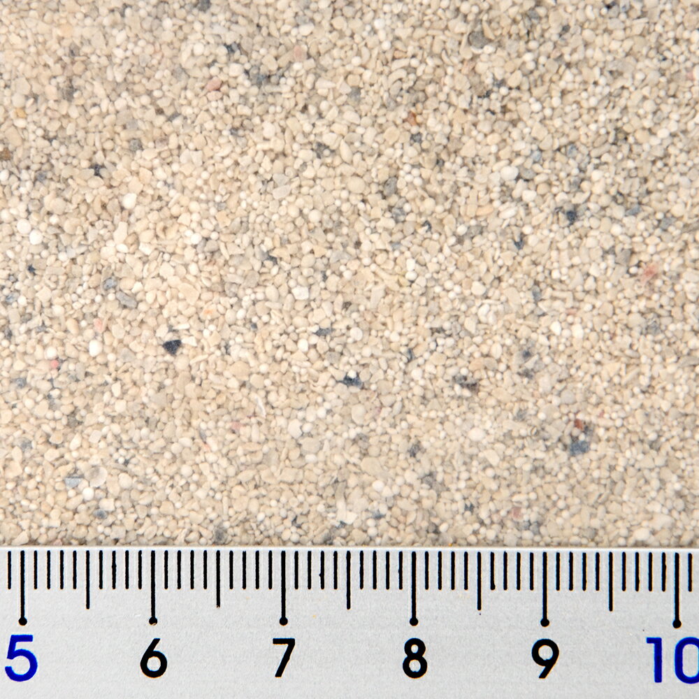 ���ߥϥ�������֥��������饴�ʥ��ȡ����饬�ޥå��������쥯�ȡ�15lbs����6��8kg�ˡ��������3���¤ꡡ����������