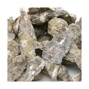 カキガラ 1kg ろ過 PH調整 関東当日便