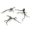(水草)巻きたて ウィローモスsp.ナロー 枝状流木 Mサイズ(20cm~)(水中葉)(無農薬)(3本)