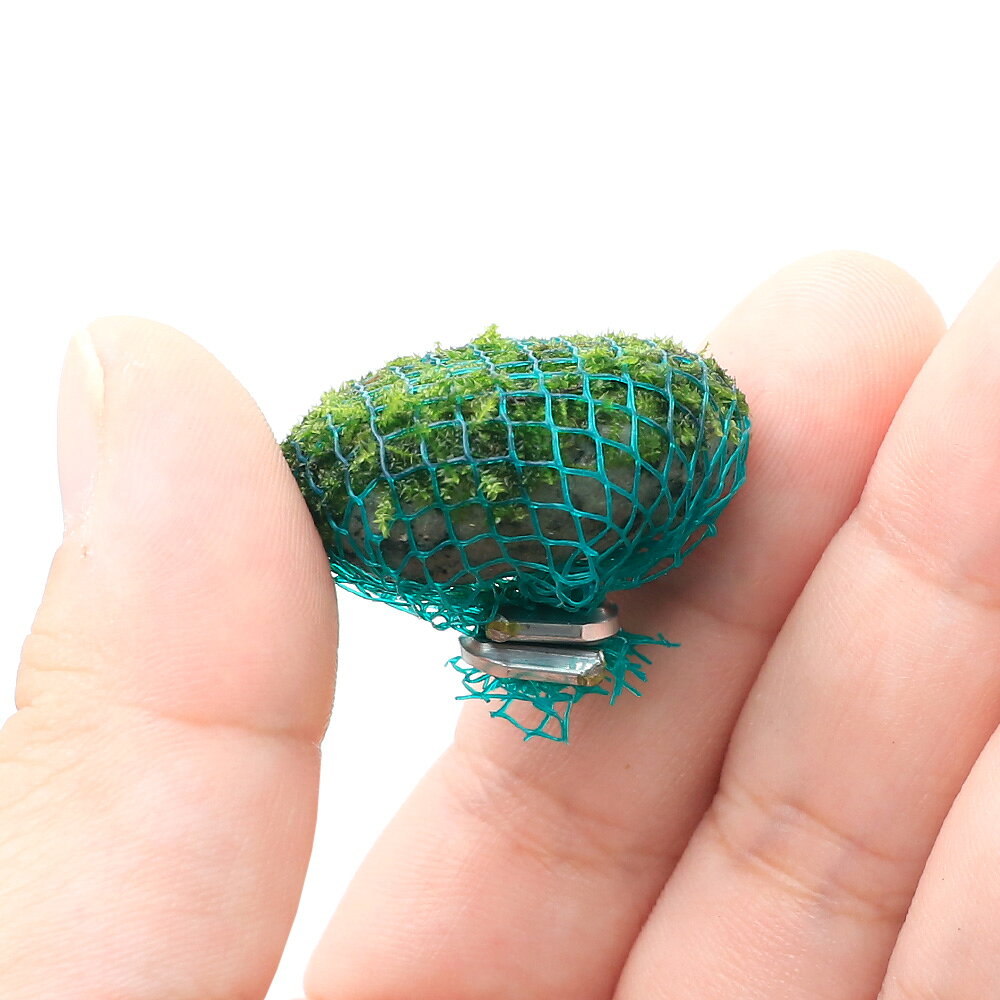 （水草）巻きたて　ウィローモスsp．ナロー　ボール（水中葉）（無農薬）（3個）