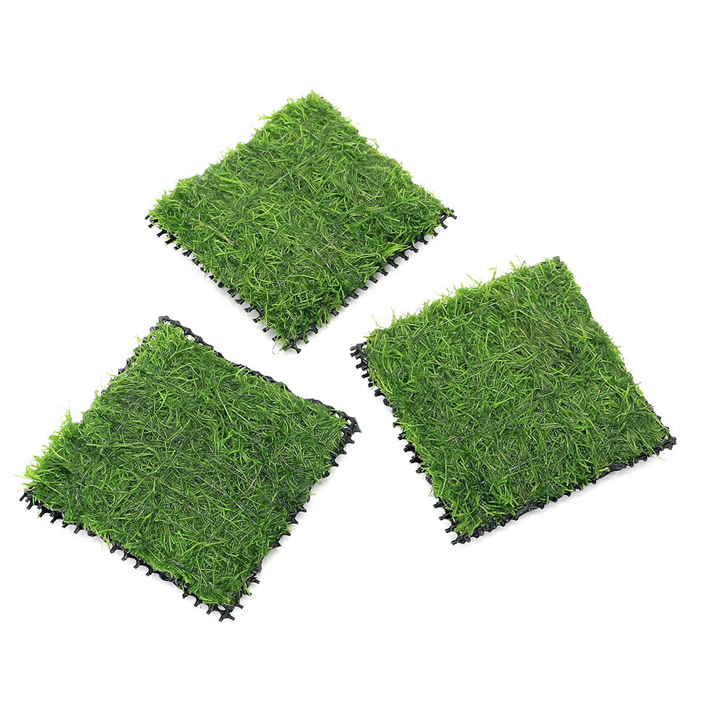 （水草）巻きたて　リシア　ハーフクッション（水中葉）（無農薬）（3枚）　北海道・九州航空便要保温