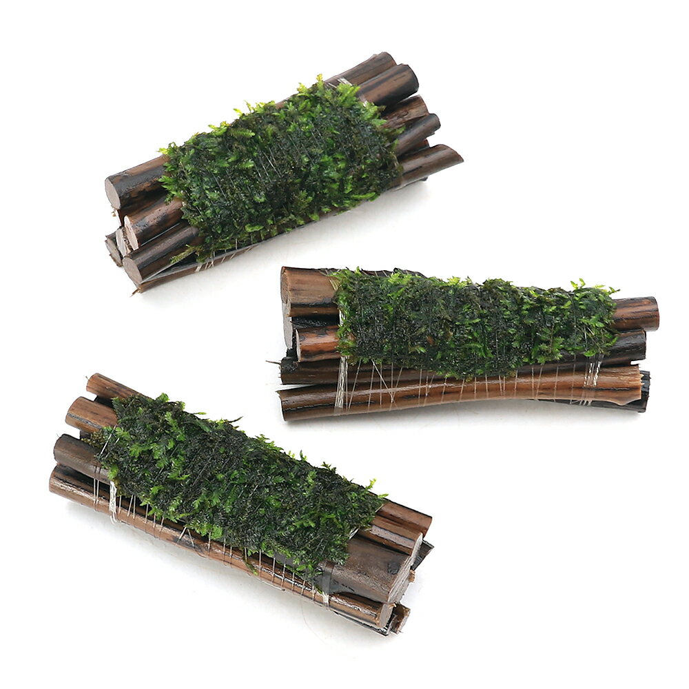 （水草）巻きたて　ジャイアント南米ウィローモス　エビ長屋（水中葉）（無農薬）（3個）