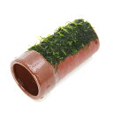 (水草)巻きたて ウィローモス 土管(茶)(水中葉)(無農薬)(1個)