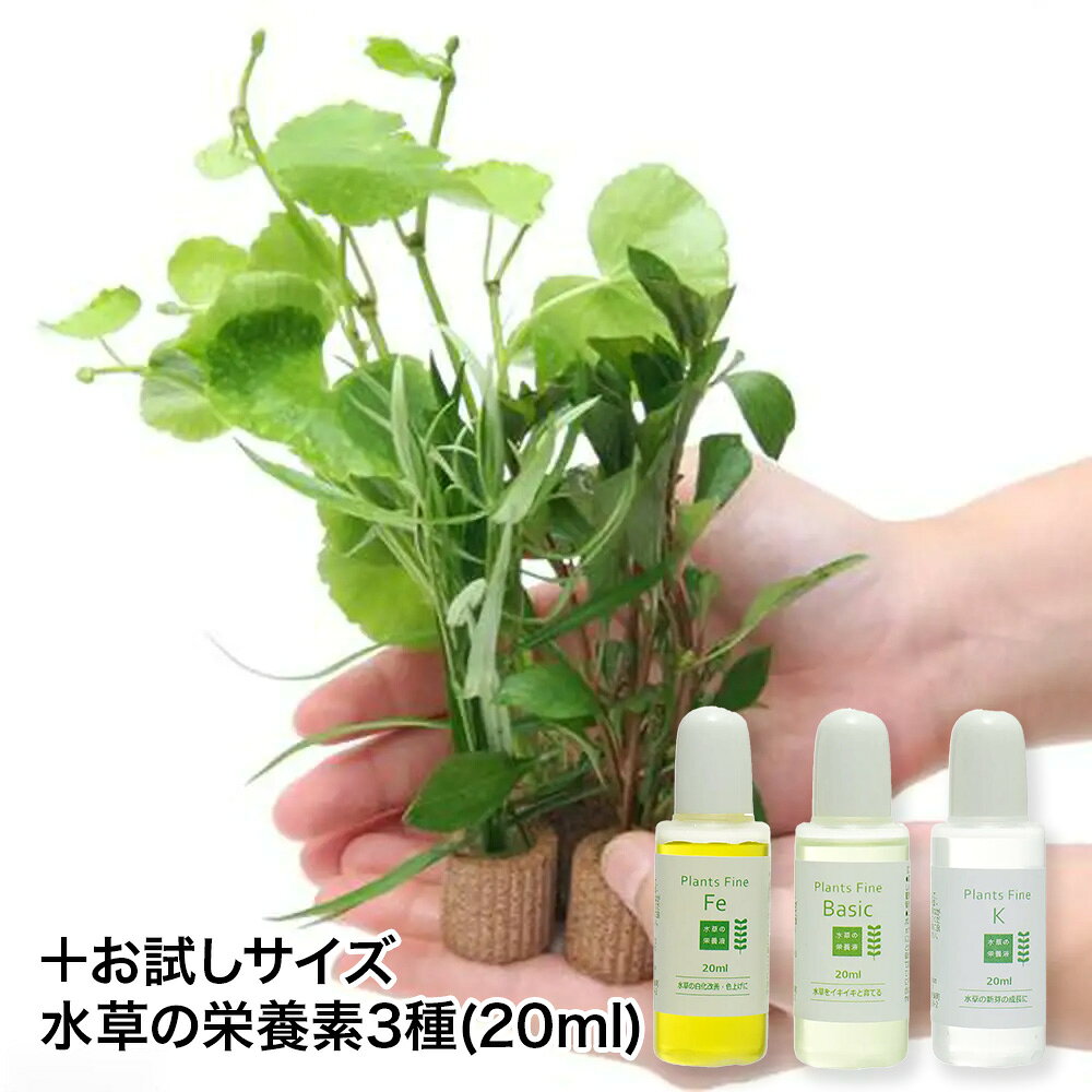 （水草）メダカ 初心者 置くだけ簡単 ライフマルチ（茶）おまかせ水草3種＋栄養素3種お試しサイズ（3～6回分）（水上葉）無農薬（1セット）おもり付