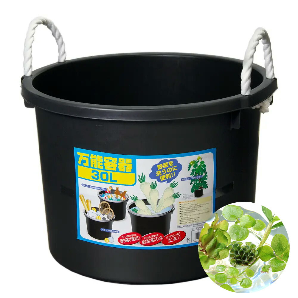 （浮草）万能容器　30L　おまかせ浮草3種セット（各2株）付き　ビオトープ　めだか...