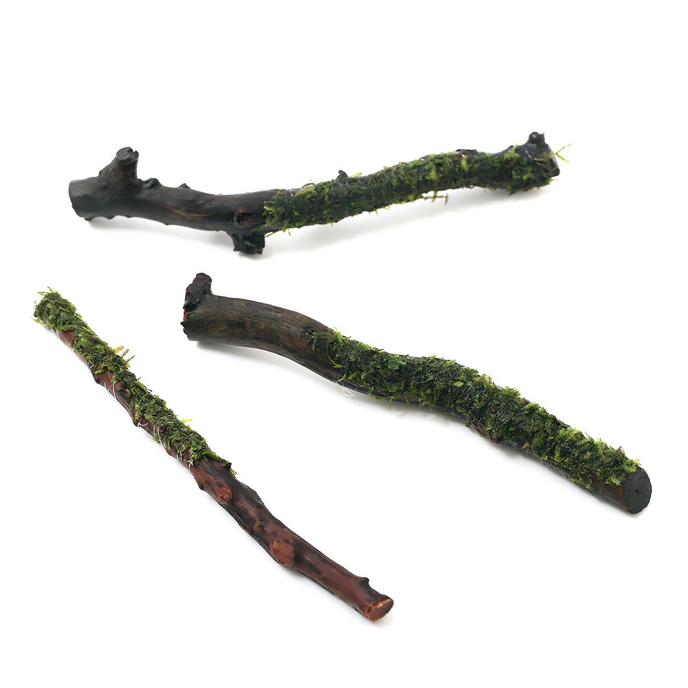 （水草）巻きたて　ジャイアント南米ウィローモス　スティック流木　Sサイズ（約15cm）（水中葉）（無..