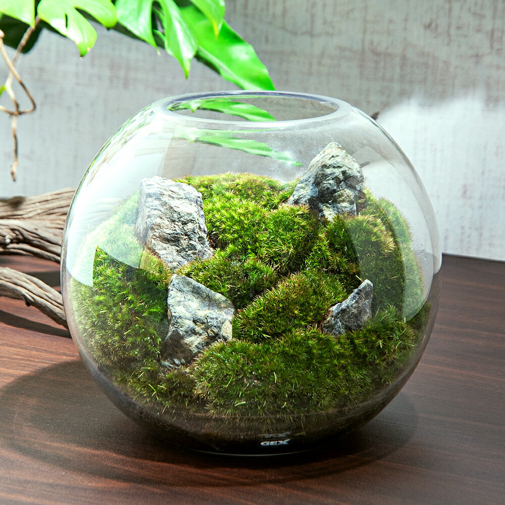 （観葉植物）GEX　グラスアクアリウム　スフィア　風山石　レイアウト完成品（1個）