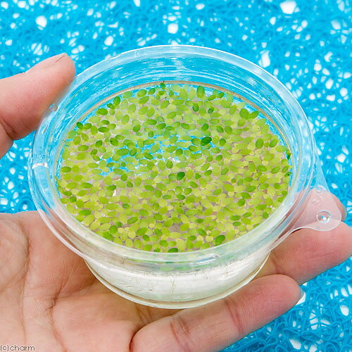 ������������ѡ���������������̵������3���å�ʬ