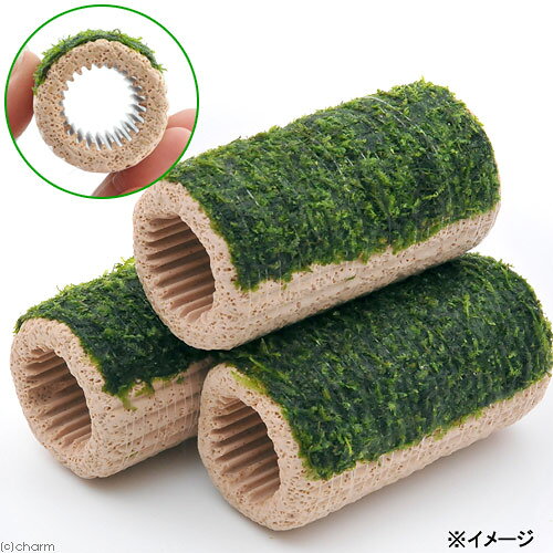 （水草）巻きたて　ラージマルチリング　ウィローモス（水中葉）（無農薬）（1個）