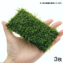 (水草)★育成済★ ウィローモス クッション(水中葉)(無農薬)(3個)