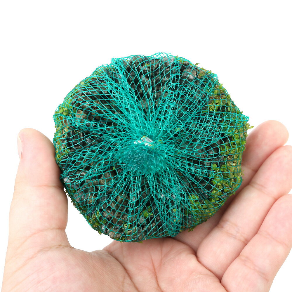 �ʿ���˴������ơ��˥塼�ѡ��륰�饹���ࡼ��S�������ʿ���աˡ�̵�����ˡ�1�ġ�