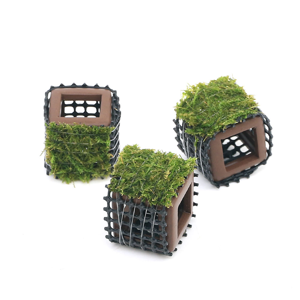 （水草）巻きたて　稚エビの隠れ家　バブルモス（水中葉）（無農薬）（3個）