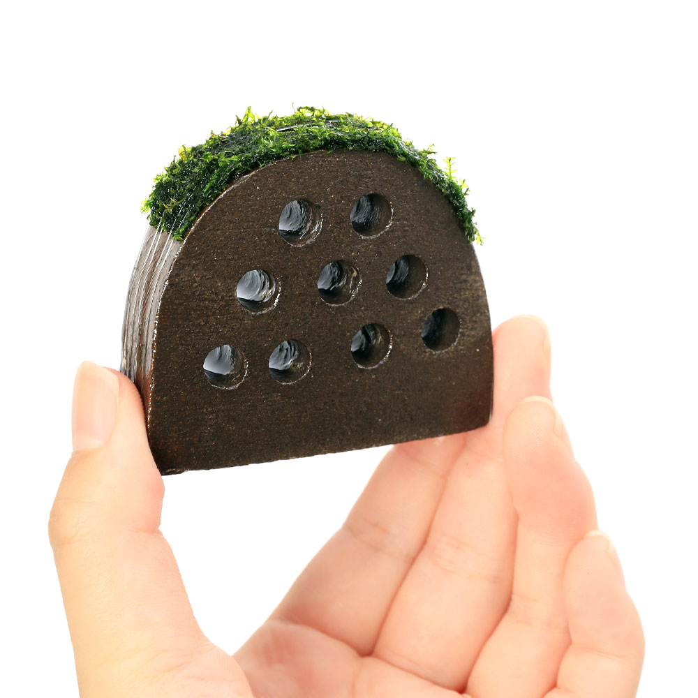エビが小さなトンネルをくぐって楽しい益子焼製トンネルです。巻きたて　稚エビの小学校　バブルモス付（1個）販売名巻きたて　稚エビの小学校　バブルモス付販売単位1個サイズ（約）幅約6．5cm高さ約5．5cm穴径約6mm※益子焼は手作りのため、サイズのばらつきが生じます。別名モス学名vesicularia　Dubyana分類ハイゴケ科（Hypnaceae）ヴェシクラリア属（Vesicularia）分布東南アジアどんな種類？育成難易度　→　★★★☆☆水草の気泡を付ける姿が大好きという方にオススメなのが、こちらのバブルモスです。一見ただのモスのように見えますが、水中で十分な光と二酸化炭素があれば、リシアに勝るとも劣らない気泡を無数に付けるモスです。リシアの代わりに、前景に敷くと大変綺麗です。高光量、低水温、ろ過の効いた綺麗な水を好みます。活着力は強いです。高水温での育成は不向きの為、水温には注意が必要です。育成要件＆データ光量　　　　　→　60cm20W3灯以上（2400〜3000lm）CO2　　　　 →　無くても可　1滴／3秒（60cm標準水槽相当）pH　　　　　　→　5〜7GH　　　　 　 →　0〜6kH　　　　　　→　0〜6温度　　　　　→　20〜27度底砂　　　　　→　ソイル、砂、大磯推奨水槽　　→　30cm以上　植栽位置　　→　前□■■□□後草姿　　　　　→　コケ・モス類、活着系最大草姿　　→　−生長速度　　→　遅め増殖方法　　→　枝わかれ※…育成環境は一例です。必ずしもこの環境下であれば育つことを確約するものではございません。注意※手作りのため、サイズに誤差が生じる恐れがあります。また、色形等画像と異なる場合がございます。PSBQ10　ピーエスビーキュート　淡水用　30mL5個セット　光合成細菌　バクテリア　熱帯魚パワーハウス　ベーシック（ソフトタイプ）　Sサイズ　淡水用　5リットル　微酸性　ろ材　pH維持（エビ）ヤマトヌマエビ　国産（5匹）（熱帯魚）オトシンクルス（3匹）　北海道・九州航空便要保温Fe　Energy（エフイーエナジー）　アクア　濃縮タイプ　20mL　（水草の栄養液）煮込み済み　極上流木　Mサイズ　約20〜30cm　3本　形状お任せ　アクアリウム　レイアウト素材　流木　枝状風山石　5kg　約5〜15cm　45cm水槽向け　形状お任せ　アクアリウム　レイアウト素材　国産品ZOOMED　レプティシェルター　Sサイズ　〜3in1　Cave〜　爬虫類　両生類　シェルター　ヘビ　トカゲ　ヤモリ　カエル　サラマンダーLSS研究所　Nanoスポンジフィルター　LS−MiniC（XXS）Fe　Energy（エフイーエナジー）　アクア　濃縮タイプ　20mL　（水草の栄養液）魚が簡単に飼える　リーフプロソイル　pHダウン　8L　pH4．5〜5．5　お一人様3点限り　吸着ソイル　国産　熱帯魚　用品魚が簡単に飼える　リーフプロソイル　pHダウン　8L　pH4．5〜5．5　お一人様3点限り　吸着ソイル　国産　熱帯魚　用品日本動物薬品　ニチドウ　水草が育つCO2リキッド　2本入　（緑） … frditem_hidden　熱帯魚　バブルモス　水草　モス　活着系　水草　益子焼　エビシェルター　ハイゴケ科　Hypnaceae　ヴェシクラリア属　Vesicularia　　20261020　2026tuuki　y26m10　RS　　隠れ家　シェルター　ハウス　稚エビ（水草）巻きたて　稚エビの小学校　バブルモス付（水中葉）（無農薬）（3個）■この商品をお買い上げのお客様は、下記商品もお買い上げです。※この商品には付属しません。■PSBQ10　ピーエスビーキュート　淡水用　30mL5個セット　光合成細菌　バクテリア　熱帯魚パワーハウス　ベーシック（ソフトタイプ）　Sサイズ　淡水用　5リットル　微酸性　ろ材　pH維持（エビ）ヤマトヌマエビ　国産（5匹）（熱帯魚）オトシンクルス（3匹）　北海道・九州航空便要保温Fe　Energy（エフイーエナジー）　アクア　濃縮タイプ　20mL　（水草の栄養液）煮込み済み　極上流木　Mサイズ　約20〜30cm　3本　形状お任せ　アクアリウム　レイアウト素材　流木　枝状風山石　5kg　約5〜15cm　45cm水槽向け　形状お任せ　アクアリウム　レイアウト素材　国産品ZOOMED　レプティシェルター　Sサイズ　〜3in1　Cave〜　爬虫類　両生類　シェルター　ヘビ　トカゲ　ヤモリ　カエル　サラマンダーLSS研究所　Nanoスポンジフィルター　LS−MiniC（XXS）Fe　Energy（エフイーエナジー）　アクア　濃縮タイプ　20mL　（水草の栄養液）魚が簡単に飼える　リーフプロソイル　pHダウン　8L　pH4．5〜5．5　お一人様3点限り　吸着ソイル　国産　熱帯魚　用品魚が簡単に飼える　リーフプロソイル　pHダウン　8L　pH4．5〜5．5　お一人様3点限り　吸着ソイル　国産　熱帯魚　用品日本動物薬品　ニチドウ　水草が育つCO2リキッド　2本入　（緑）
