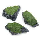 (水草)巻きたて ウィローモス 白流石 Sサイズ(約10cm)(水中葉)(無農薬)(3個)