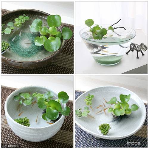 �ʿ���˥�����˹礦���𥻥åȡ�2��ʿ����աˡ�̵�����ˡ�1���åȡˡ��������աˤ����