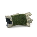 (水草)巻きたて おまかせモス ログシェルター Sサイズ(水中葉)(無農薬)(1個)
