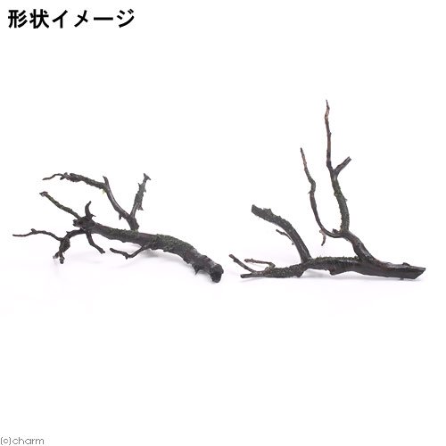 （水草）巻きたて　ウォーターフェザー　枝状流木　Sサイズ（約10cm〜）（水中葉）...