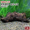 すぐに沈む! 形状お任せ 沈水流木 Mサイズ(約19〜23cm前後)(1本)