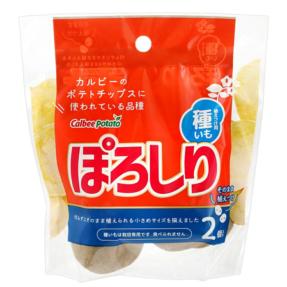 （観葉植物）種イモ カルビーポテト ぽろしり 2球詰（2袋） じゃがいも栽培 ポテトバッグ バケ土 じゃがいも 種芋
