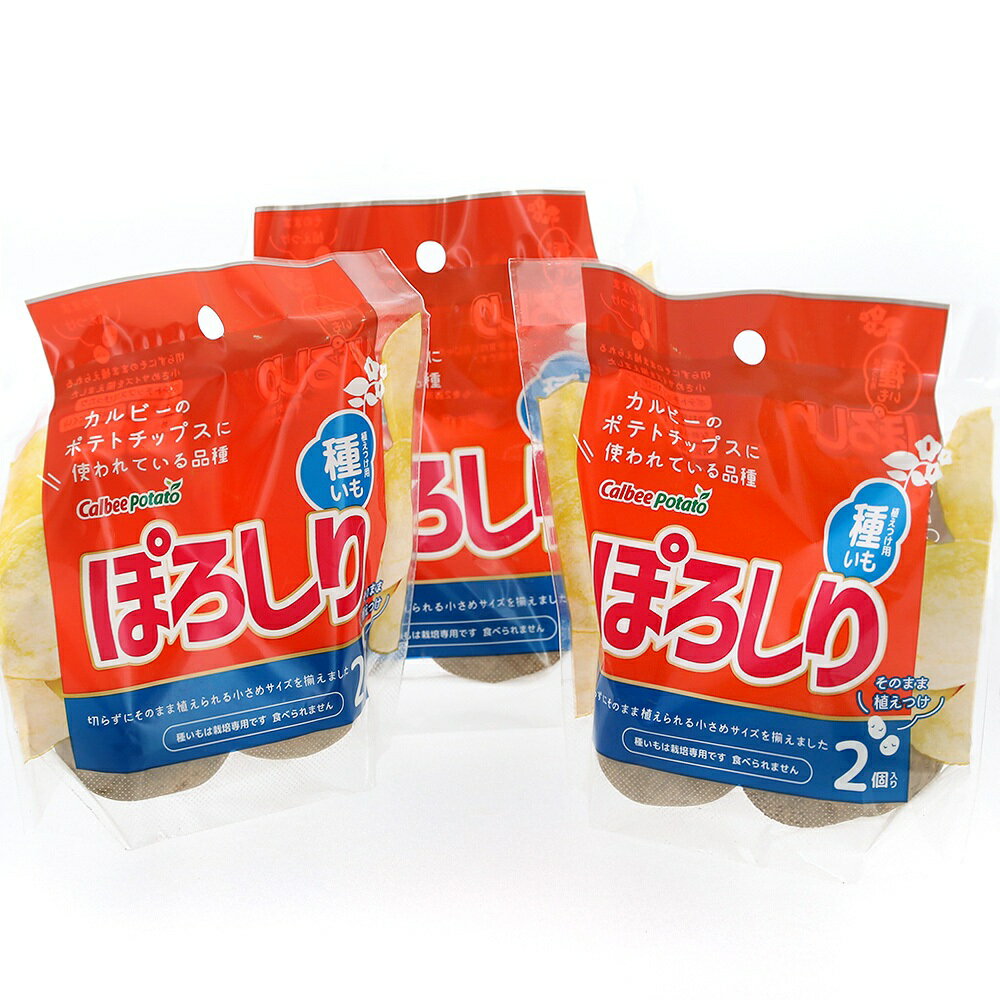 �ʴ��տ�ʪ�˼磻�⡡����ӡ��ݥƥȡ��ݤ����ꡡ2��͡�3�ޡˡ����㤬������ݡ��ݥƥȥХå����Х��ڡ����㤬���⡡���