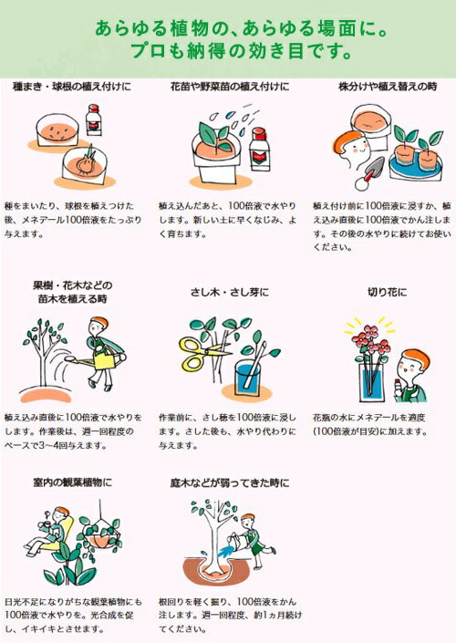 ��ͥǡ��롡��ʪ�����ǡ�500mL������������