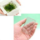 (水草)ウィローモス(水中葉)(無農薬)(1カップ) +リシアネット(中)(5) 本州四国限定