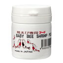 稚えび専用 フード 20g 関東当日便