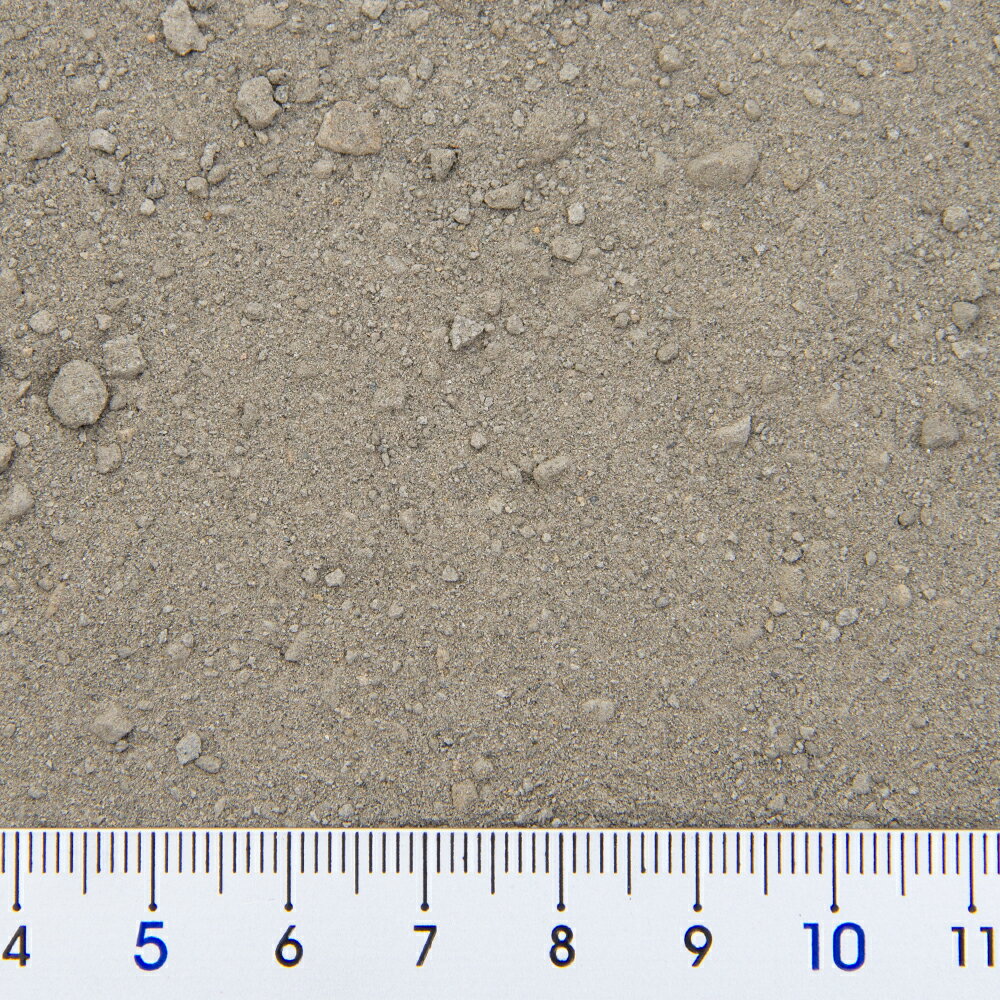 �ߥͥ饵�ץꡡ�ͤ��ؤ������ס�540g������������