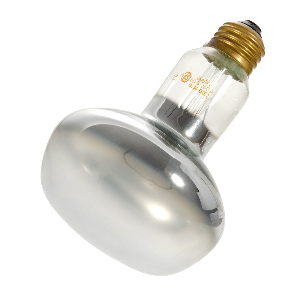 ZOOMED　レプティ　バスキングスポットランプ　150W　爬虫類　保温球　関東当日便