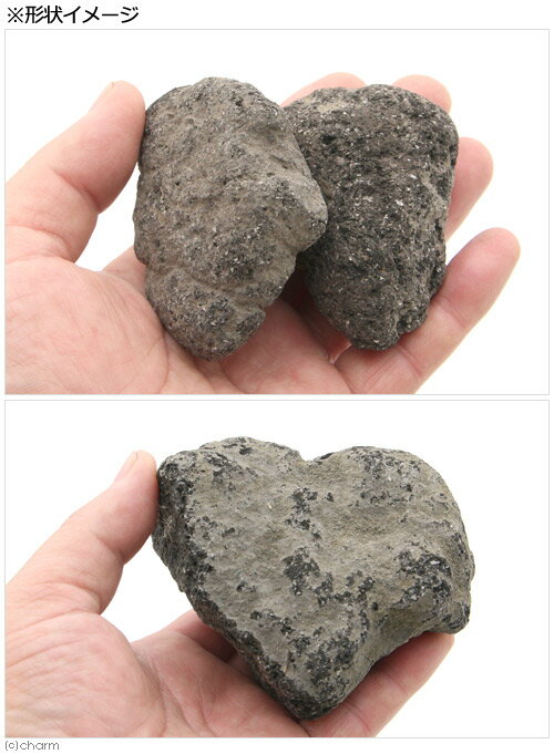 ������Ǥ���������ϴ��С�S����������8��13cm�ˡ�6�ġ��������ꥦ�ࡡ�쥤�������Ǻࡡ����������