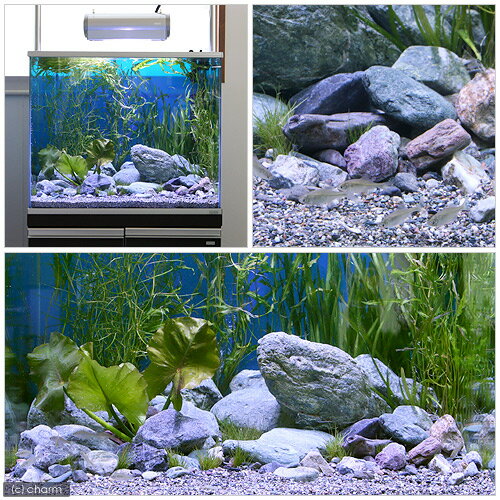 ��ή�С�No��7��1kg��γ��5��35mm���������20���¤ꡡ����������