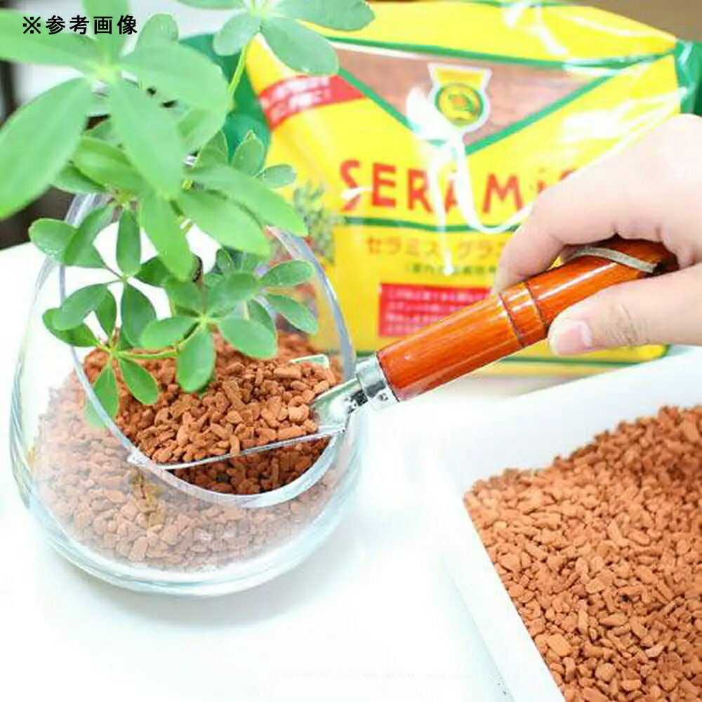 ����ߥ�������˥塼�ʼ����ƴ�������ڡˡ�100mL������������