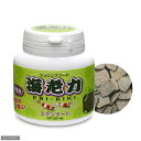 海老力(EBI-RIKI) エビリキ スタンダード 30g ビーシュリンプ エサ 餌 関東当日便