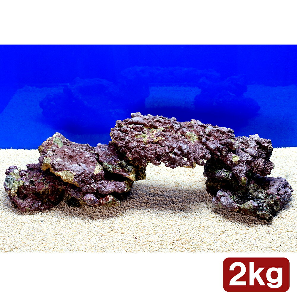 �ʳ�����˥饤�֥��å����ץ졼�Ⱦ����������ߥå�����2kg�ˡ��̳�ƻ���彣�Ҷ������ݲ�