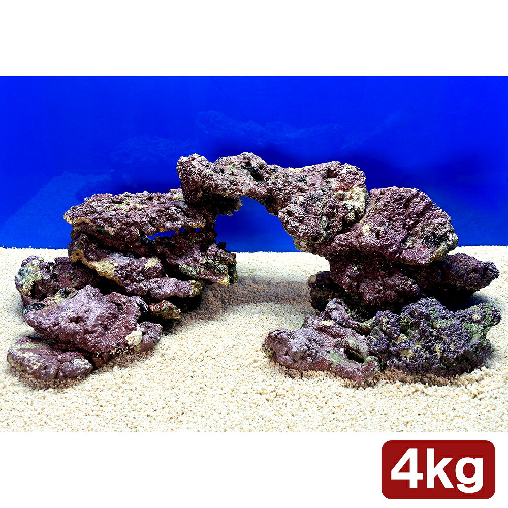 �ʳ�����˥饤�֥��å����ץ졼�Ⱦ����������ߥå�����4kg�ˡ��̳�ƻ���彣�Ҷ������ݲ�