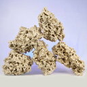 マルコロック リーフセーバー エッジ(Edge) Lサイズ 8〜13kg サンゴ 石 海水 水槽 飾り レイアウト 関東当日便