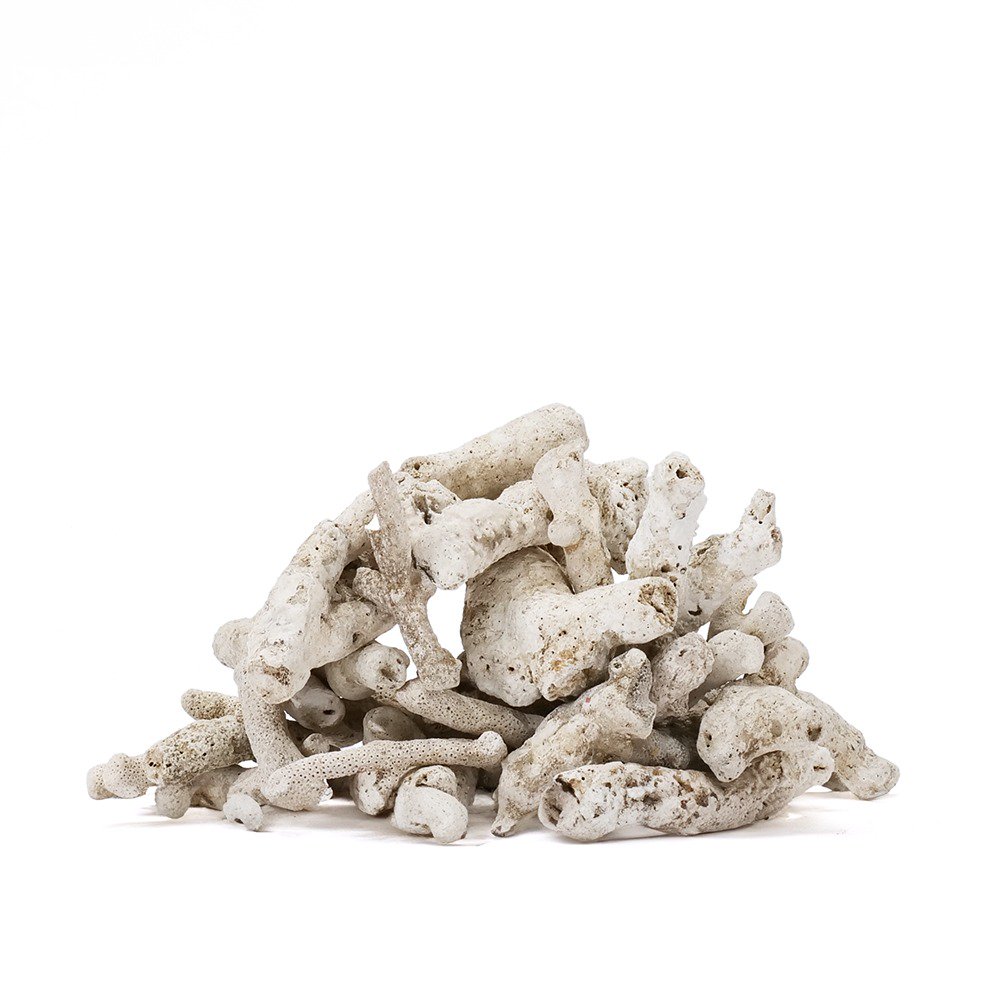 ܡ󡡥󥴺100−200ޡ1kg