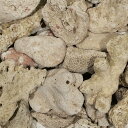 #100 C.P.Farm 天然サンゴ砂 #100 Natural coral sand 3L 関東当日便