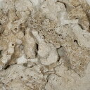 #200 C.P.Farm 天然サンゴ砂 #200 Natural coral sand 3L 関東当日便