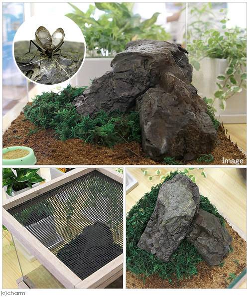 ���ʤΤߡ�������顡7�����åȡ�������2�ġ����塦�����¡��ޥåȡ����������ˡ�����������