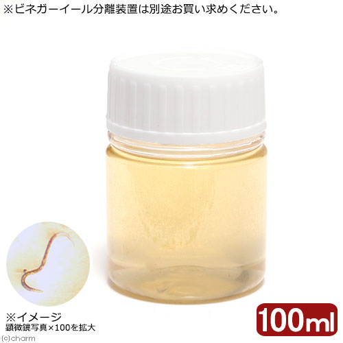 ビネガーイールの給餌の際に培養液と分離が簡単に行える専用分離機もございます。関連商品よりご覧ください。キャップの色は画像と異なる場合がございます。発送する容器の仕様は予告無く変更する場合がございます。極小稚魚に最適！ビネガーイール　100ml容量100ml原産国日本対象種淡水魚各種ベタや卵胎生メダカなどの、ブラインシュリンプを食べることが困難な極めて小さな稚魚に最適な飼料です。淡水中でも5日間ほど生存し、与え過ぎによる水の悪化の心配も少なく済みます。水面付近にいる習性が強い為、メダカの仲間を繁殖させる際には特に重宝します。保管方法も容易で非常に扱いやすいことからも支持されている活き餌になります。給餌をする際には水面付近のビネガーイールをスポイトなどで集めて与えますが、リンゴ酢と水からなる培養液に入っているので大量に与える際には分離してから与えると良いでしょう。※極小サイズになりますので、取扱いには十分ご注意ください。保存方法過度な高温と直射日光を避けて保管してください。冷暗所での保管が適しています。15〜27℃程度であれば、お買い上げ頂いたままの容器でキャップを開けた状態でしばらくの間保管が可能です。長期ストックをされる場合には、リンゴ酢と水を2：1、もしくは等倍で割った培養液を用意し500mlペットボトルに溶液とビネガーイールを入れることで長期ストックが可能になります。その際にリンゴの欠片などを少量いれることでより状態良く保つことができます。（※酸欠には弱いので、必ず空気穴を空けるかキャップを外した状態で保管してください。）ご注意※本製品は観賞魚用のエサです。その他の目的には使用しないで下さい。生餌の発送、死着保証について生餌の発送は通常の生体と同様に発泡スチロールの箱でカイロや保冷剤で保温して発送いたします。（商品により冷蔵便の場合もございます。）同種の生餌を複数セットご購入の場合、パッキングをまとめさせていただく場合がございます。生餌は餌として最低限のトリートメントとなりますので、観賞、飼育には適しません。また、生餌は病気の持ち込みなどのリスクがあります。導入後の二次的な被害についての保証は一切お受けできません。ご了承の上お買い求め下さい。死着保証は一切お受けできません。ご了承の上お買い求めください。（保証あり生餌商品を除く）スドー　メッシュカップ　給餌器ガラス製　フラットシャーレ　46mm　昆虫　標本用品冷蔵★（生餌）死着保証なし　ミミズ　1カップ分（約40匹）　活餌　別途クール手数料　常温商品同梱不可ピクタ　ビネガーイール分離装置　1個　稚魚　淡水 … アクアリウム用品　生き餌　fry_bait　_aqua　_hachu　fish_ikie　アクア用品　餌　給餌器　生餌　ブライン　ビネガーイール　100ml　イトメ　商品　器具　活き餌　活餌　活きエサ　ベタ　卵目　メダカ　fishbabyfood　インフゾリア　20160301　TY　tansui63　gyaratan　bnr_mdkikie　生餌部屋　HAA　20251125　hosyouari　y25m11（生餌）死着保証なし　ビネガーイール　100ml（1個）　活餌構成する商品内容は在庫状況により予告無く変更になる場合がございます。予めご了承下さい。■この商品をお買い上げのお客様は、下記商品もお買い上げです。※この商品には付属しません。■スドー　メッシュカップ　給餌器ガラス製　フラットシャーレ　46mm　昆虫　標本用品冷蔵★（生餌）死着保証なし　ミミズ　1カップ分（約40匹）　活餌　別途クール手数料　常温商品同梱不可ピクタ　ビネガーイール分離装置　1個　稚魚　淡水