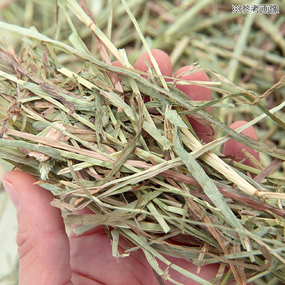 ����ꥫ�����⥷����2�ִ������֥�ץ쥹������å��ޡ�600g�����𡡤���������ưʪ�����𡡤������6���¤ꡡ����������