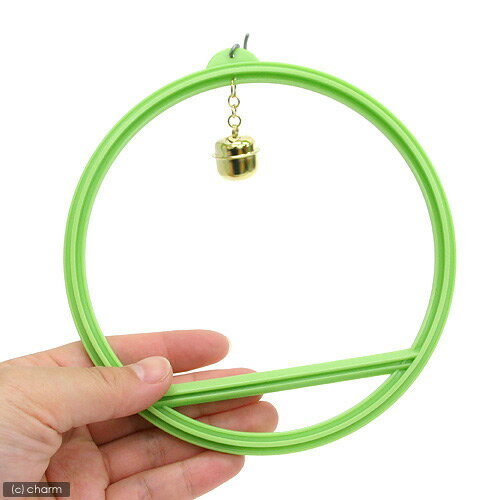 ���Х䥷���ݷ��֥�󥳡��硡K��31��Ļ��������㡡����������